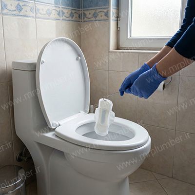 5 روش برای رفع گرفتگی توالت فرنگی با نوار بهداشتی